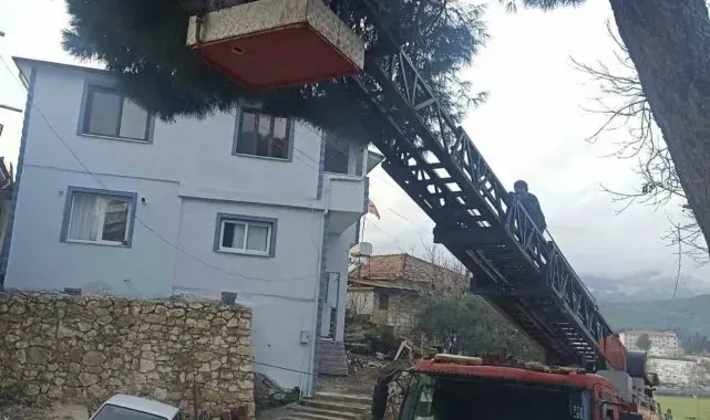 Yayladağı'nda ağaçta mahsur kalan kediyi itfaiye kurtardı