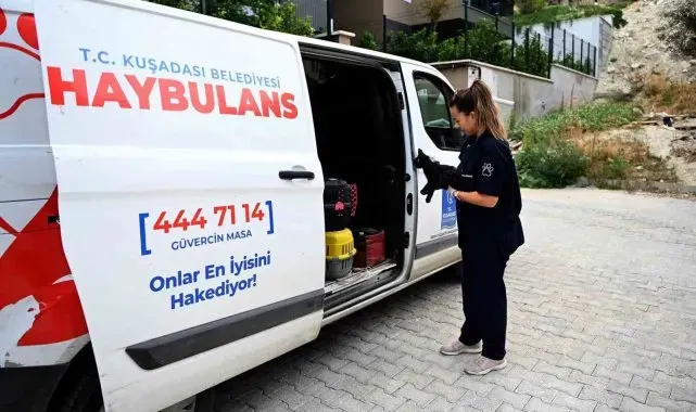 Kuşadası Belediyesi'nin Haybulans araçları 2024'te can dostlara umut oldu