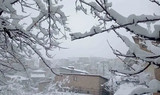Hakkâri'de kar yağışı
