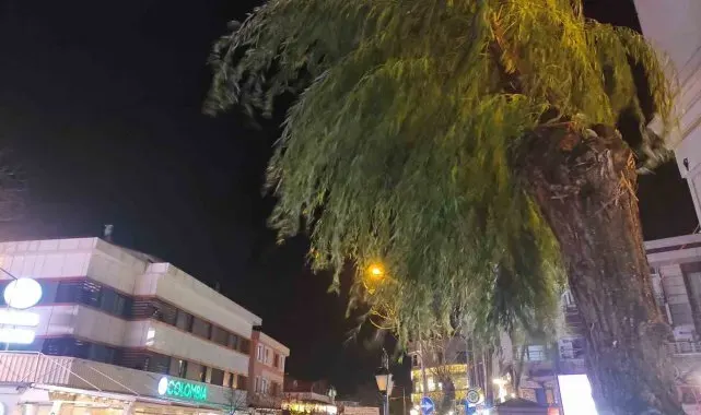 Tekirdağ'da kuvvetli yağış ve fırtına etkili oldu
