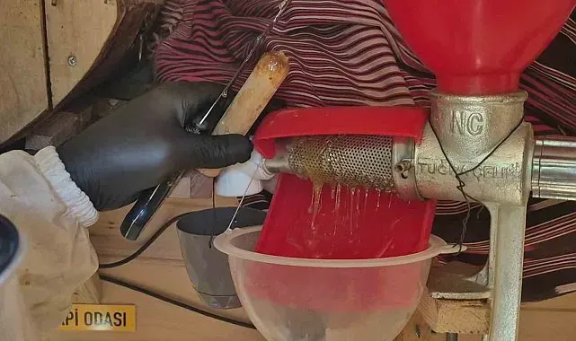 Arıları üşümesin diye elektirkli battaniyeye sararak baktı