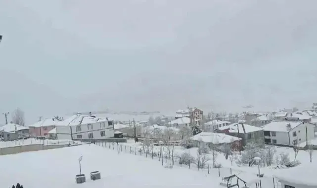 Karlıova'da kardan kapanan 7 köy yolu ulaşıma açıldı