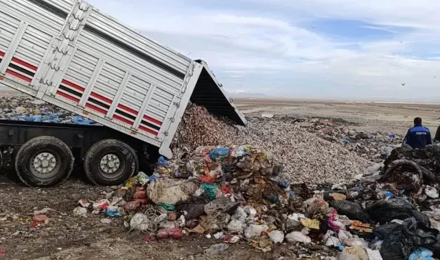 Konya'da tır dolusu kokmuş balık yakalandı