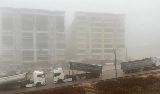 Besni'de sis etkili oldu