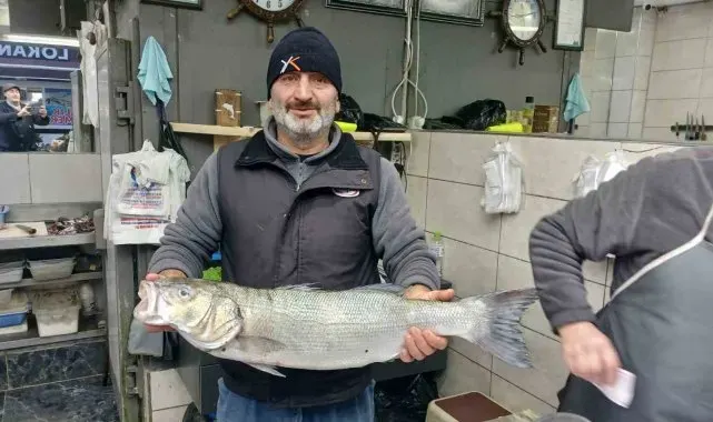 Akçakoca'da balıkçıların ağları doldu, 9 kiloluk levrek yakalandı