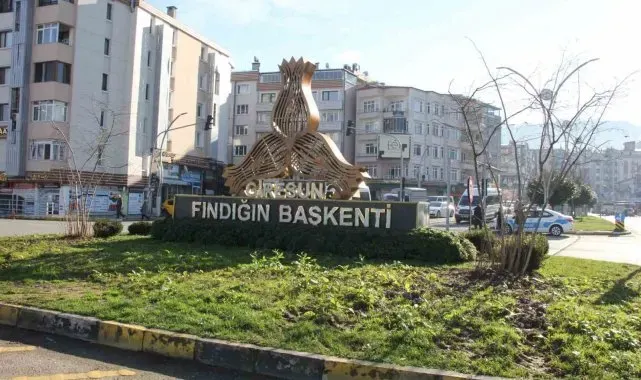 Giresun'da kavşaklar fındık ağaçları ile süslenecek