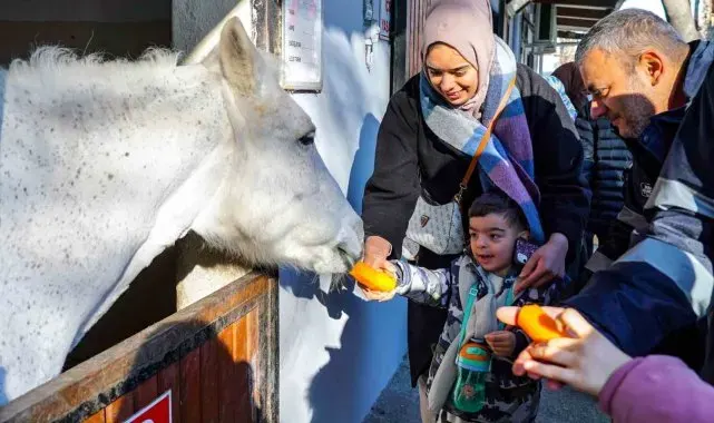 Beyoğlu'nun özel çocukları atlı terapide buluşuyor