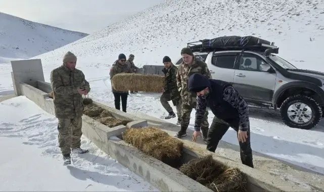 Yılkı atları için karla kaplı Akdağ'a saman taşıdılar