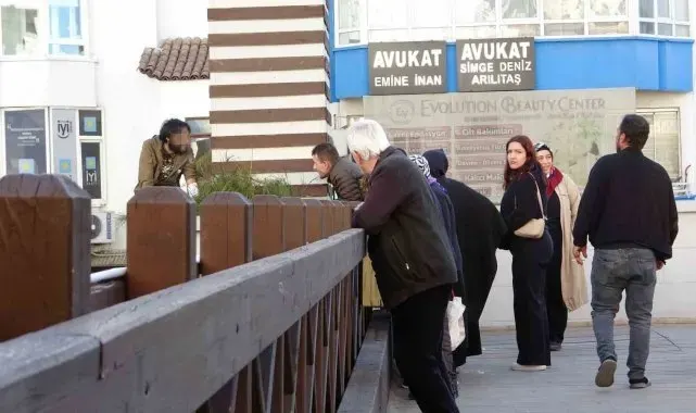 Vatandaşlar otobüs seferlerini bıraktı, üst geçide çıkan genç için seferber oldu