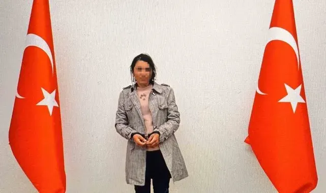 Şanlıurfa'da 1 terörist teslim oldu