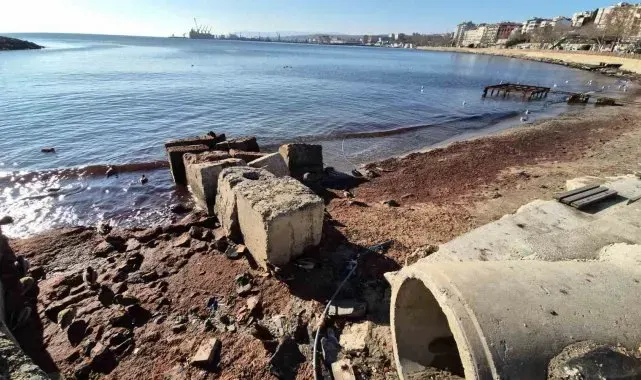 Marmara Denizi'nde lodos sonrası kıyılara kızıl yosun vurdu