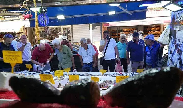 Karadeniz'de palamut patlaması: Tanesi 80 TL