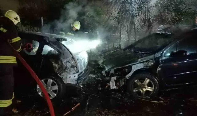 Bodrum'da sanayi sitesine yıldırım düştü: İki araç yandı