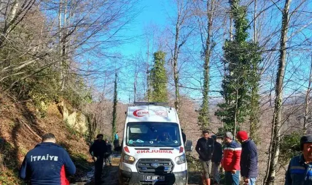 Üzerine tomruk devrilen işçi yaralandı
