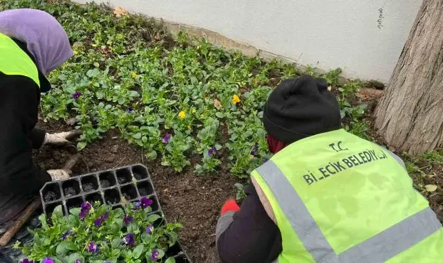 Bilecik Belediyesi'nden peyzaj düzenlemeleri