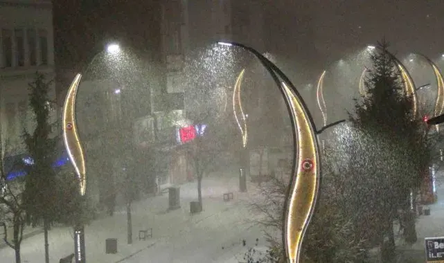 Kars'ta yoğun kar yağışı