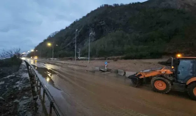 Artvin'de heyelan bölgesi yağan yağmurla çamura döndü