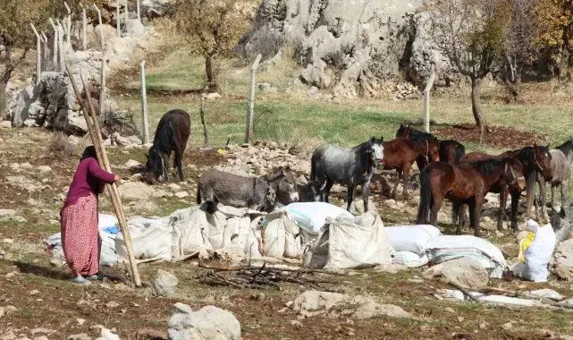 Şırnak'ta göçerlerin kışlaklara doğru zorlu yolculukları devam ediyor