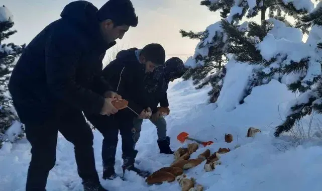 Bayburt'ta öğrenciler hayvanlar için doğaya yiyecek bıraktı