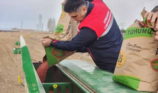 300 ton buğday ekimi gerçekleştirildi