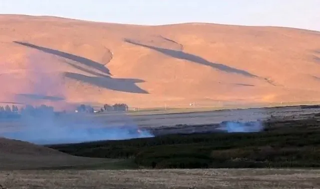 Van'daki Çırak Sazlığı'nda yangın çıktı