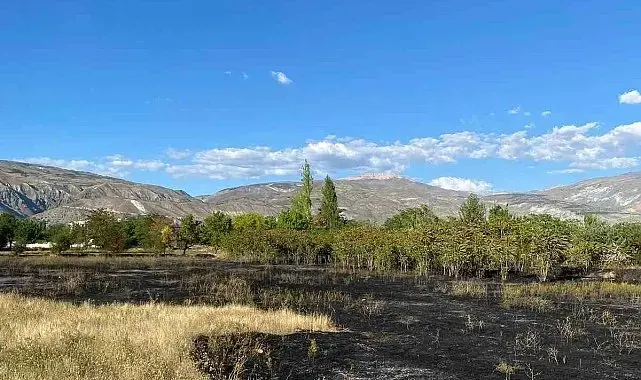 Erzincan'da anız yangını büyümeden söndürüldü