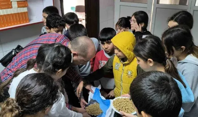 Sokak sokak gezip, sokak hayvanlarını besliyorlar