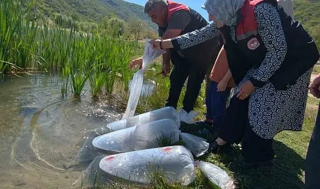 Karabük'teki göletlere 105 bin yavru balık bırakıldı