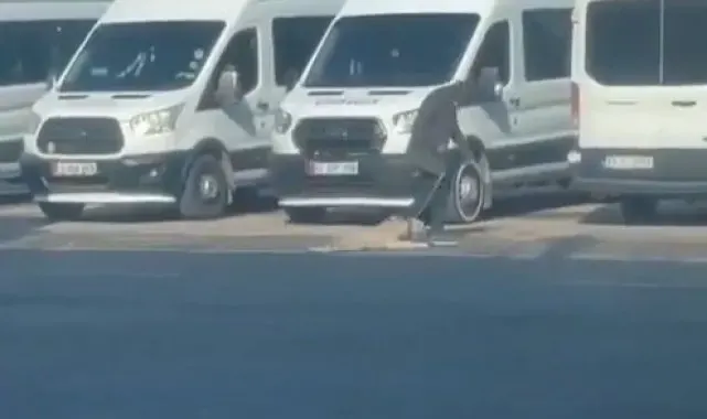 Şanlıurfa'da köpeğe eziyet kamerada