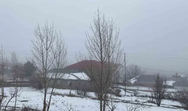 Karlıova'da sis etkili oldu