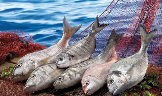 Muğla, Kasım ayında Ege'nin ihracat artış rekortmeni oldu