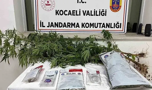 Kocaeli'de 1 kilo esrar ele geçirildi