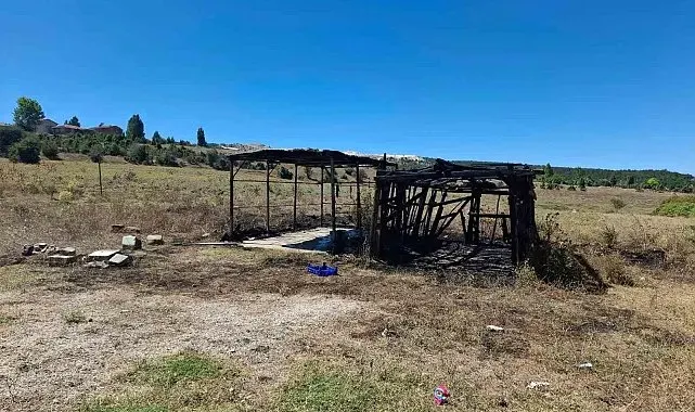 Salça yaparken yangın çıktı