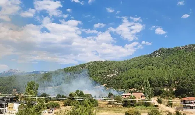 Menteşe'de otluk alanda yangın