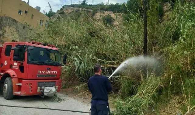 Samandağ'da kamışlık alanda çıkan yangın söndürüldü