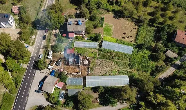 Bartın'da ahırda çıkan yangında 9 büyükbaş telef oldu