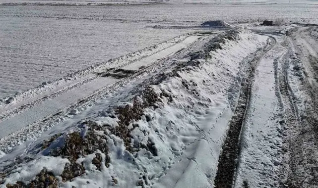 Sivas'ta 60 bin ton şeker pancarı kar altında kaldı