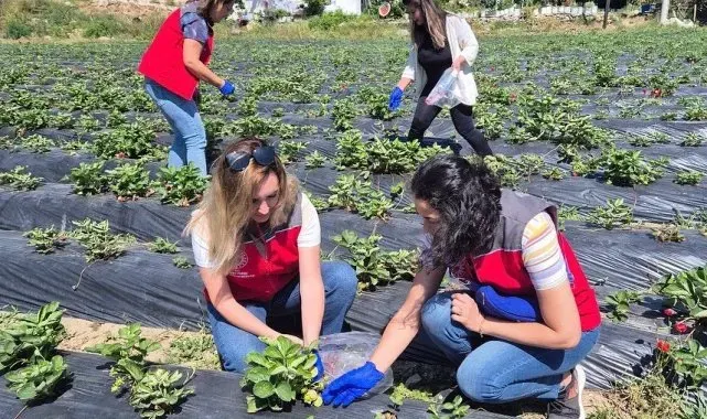 Muğla'da pestisit denetimleriyle sağlık ve çevre güvencesi