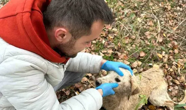 Nehre düşen köpek tekne yardımı ile kurtarıldı