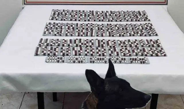 Kastamonu'da 991 adet sentetik ecza hapı ile yakalanan şahıs tutuklandı