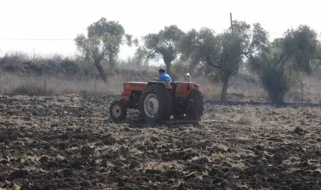 Bodrum Belediyesi'nden karakılçık buğday ekimi