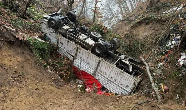 Ormana yuvarlanan kamyona 4 gün sonra ulaşıldı