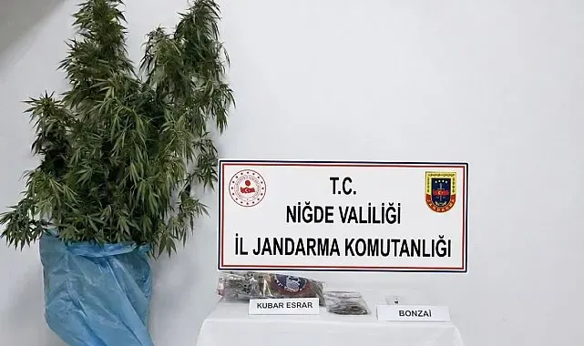 Niğde'nin Bor ilçesinde uyuşturucu operasyonu