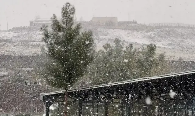Diyarbakır'da lapa lapa kar yağışı