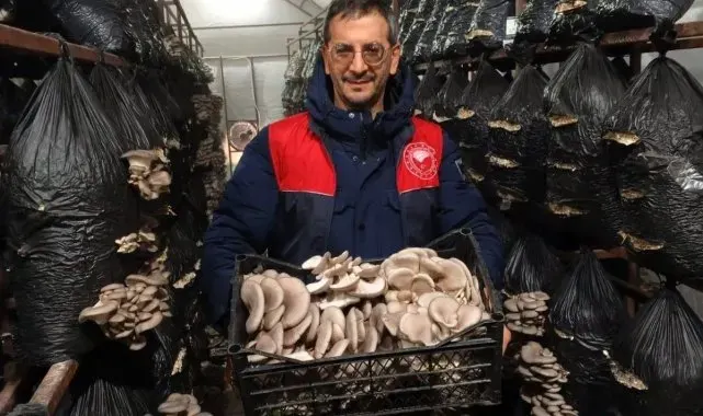 Kırklareli'nde mantar üretimi yapan işletme denetlendi