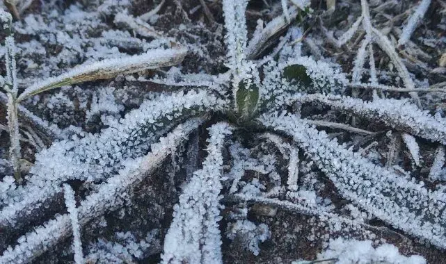 Kar yağışının ardından soğuklar etkili oldu, Göle eksi 12'yi gördü