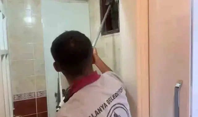 Alanya'da havalandırma bacasına düşen kedi ekipler tarafından kurtarıldı