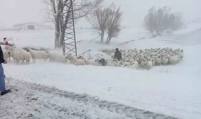 Sivas'ta sürüsü ile mahsur kalan çobanı Özel İdare ekipleri kurtardı