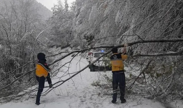 Kar sebebiyle mahsur kalan hasta paletli ambulansla hastaneye ulaştırıldı