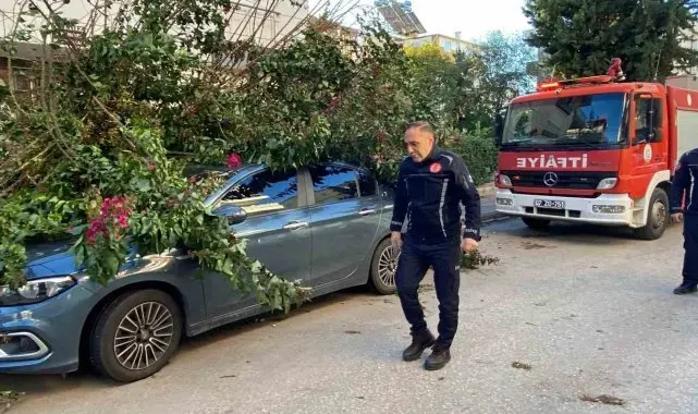 Antalya'da fırtınaya dayanamayan ağaç park halindeki aracın üzerine devrildi